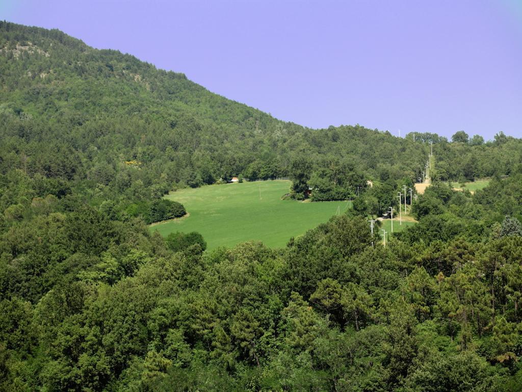 Euro Hotel Pieve Santo Stefano Εξωτερικό φωτογραφία
