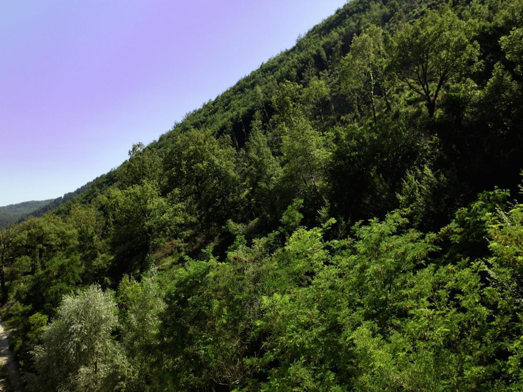 Euro Hotel Pieve Santo Stefano Εξωτερικό φωτογραφία