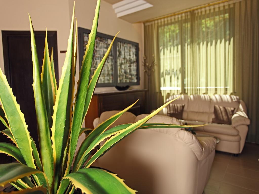 Euro Hotel Pieve Santo Stefano Εξωτερικό φωτογραφία
